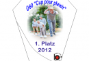 „Ü60 Cup pour plaisir“ Finalsieger: Horst Weber